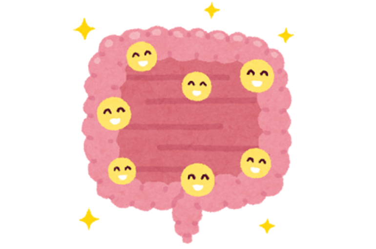 腸